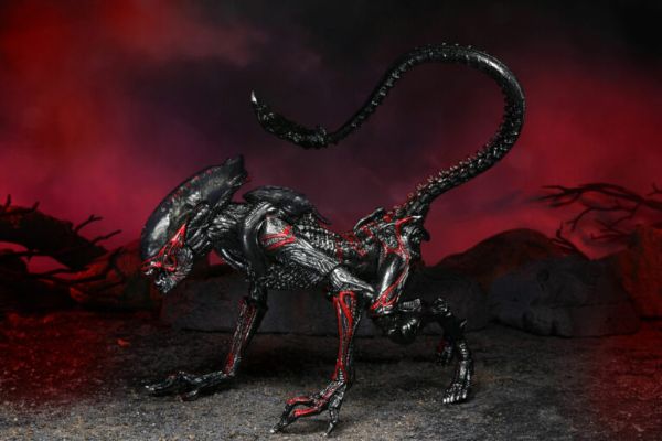 ALIENS NIGHT COUGAR KENNER TRIBUTE 7″ SCALE ACTION FIGURE