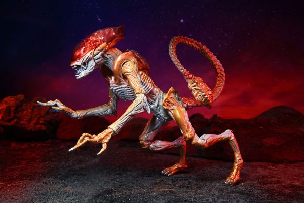 ALIENS – PANTHER ALIEN KENNER TRIBUTE 7″ SCALE ACTION FIGURE