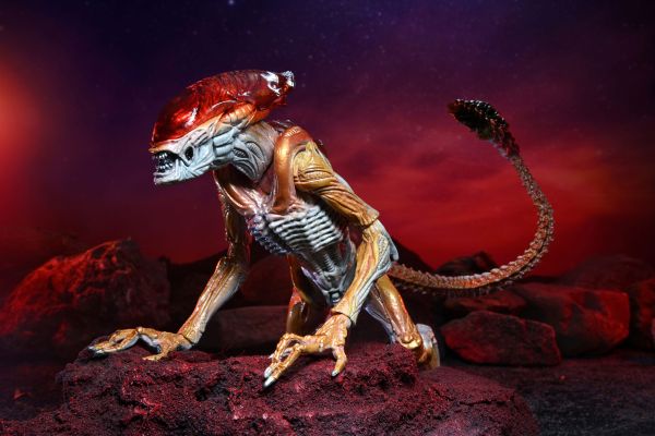 ALIENS – PANTHER ALIEN KENNER TRIBUTE 7″ SCALE ACTION FIGURE