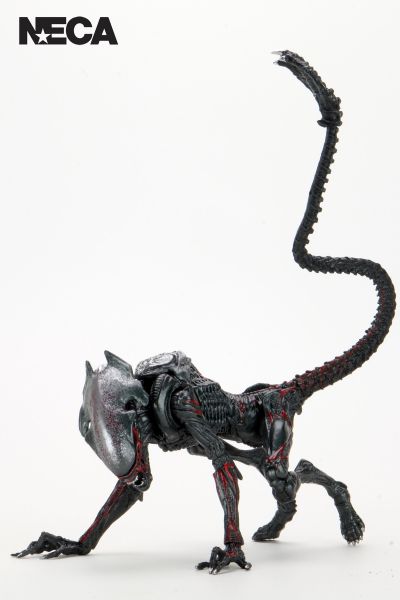 ALIENS NIGHT COUGAR KENNER TRIBUTE 7″ SCALE ACTION FIGURE