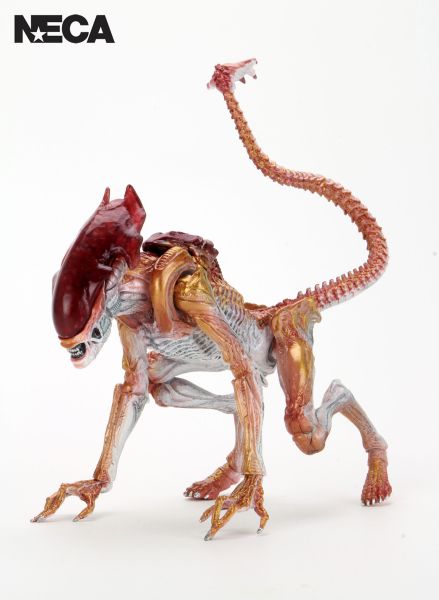 ALIENS – PANTHER ALIEN KENNER TRIBUTE 7″ SCALE ACTION FIGURE